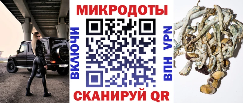 где продают наркотики  Константиновск  Псилоцибиновые грибы Psilocybe 